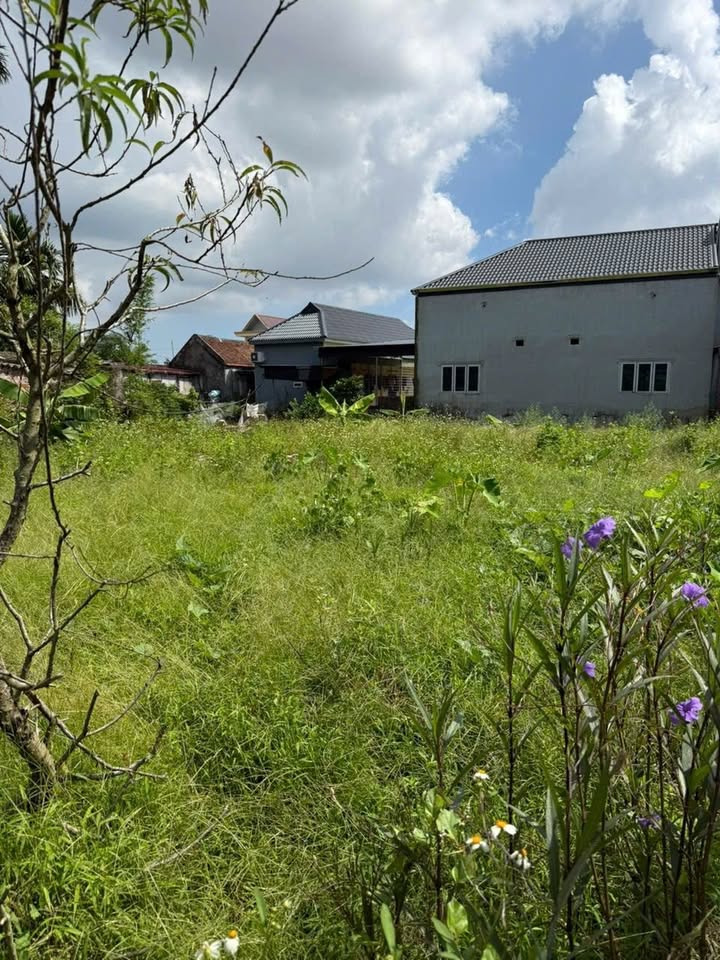 Đất thổ cư 200m² Thanh Lương, Vĩnh Bảo - Giá chỉ 950 triệu - Đầu tư sinh lời lâu dài!