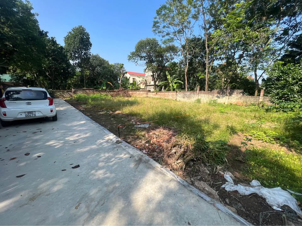 Đất Khu 14, Thanh Miếu, Việt Trì 63.6m² giá 1.88 tỷ - Vị trí trung tâm thuận lợi!