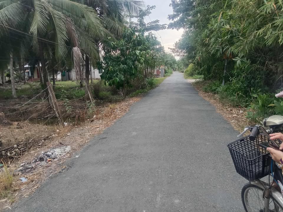 Đất vườn Lộc Thuận, Bình Đại 1400m² giá 1.44 tỷ - Đầu tư sinh lời tuyệt vời!