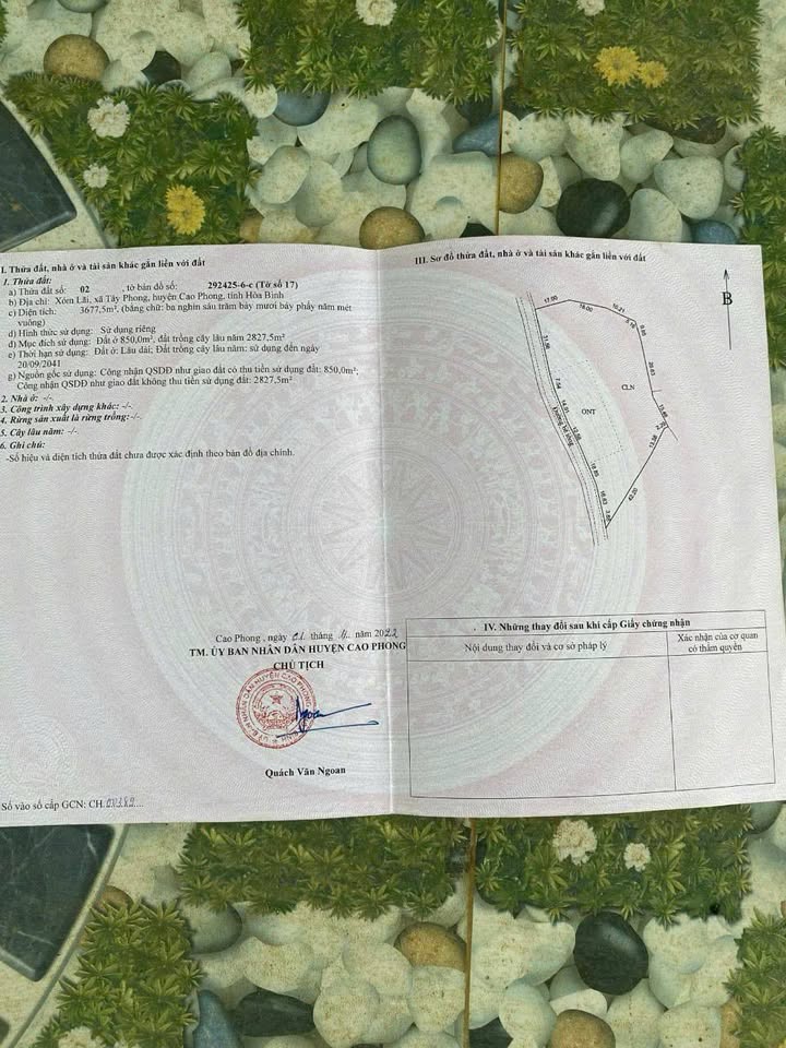 Đất đẹp 3.677m² tại Cao Phong, Hòa Bình giá chỉ 3.68 tỷ - Cơ hội đầu tư hấp dẫn!