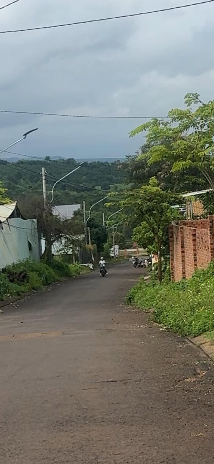 Đất nền mặt tiền đường Hoàng Hoa Thám, Chư Sê, Gia Lai - Diện tích 120m², giá chỉ 1.2 tỷ!