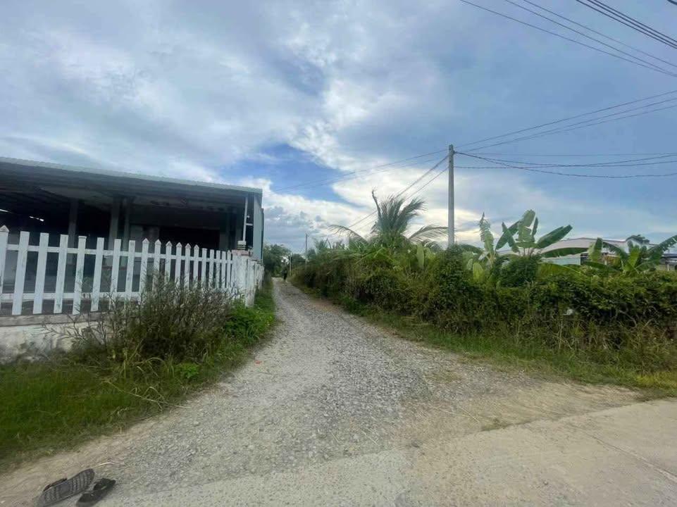 Đất thổ cư 150m² tại Thôn Văn Lâm, Hàm Mỹ - Giá 1.25 tỷ - Đường ô tô vào tận nơi!