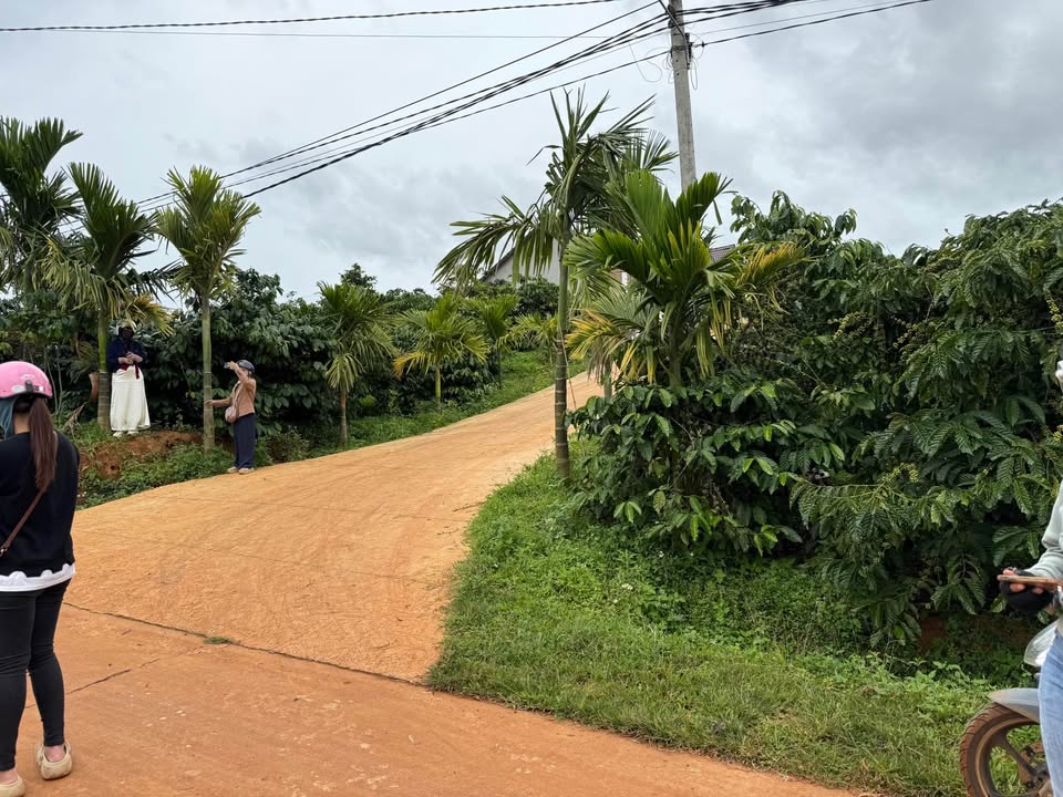 Lô đất Mê Linh 2800m² giá chỉ 2.6 tỷ - Tiềm năng sinh lời cao!