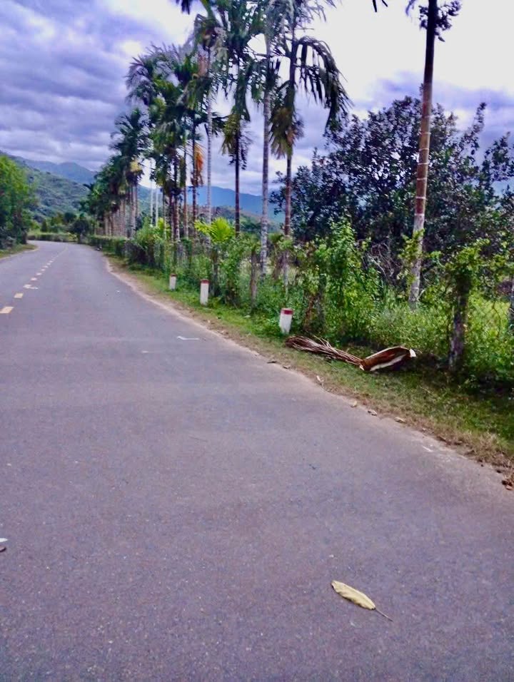 Đất nền xã Khánh Phú, huyện Khánh Vĩnh 5000m² giá 6.5 tỷ - Đầu tư sinh lời ngay!