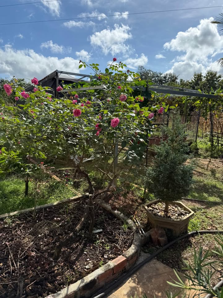 Nhà phố Nam Đà 150m² giá 1.4 tỷ - Vị trí vàng, thông tin đầy đủ!