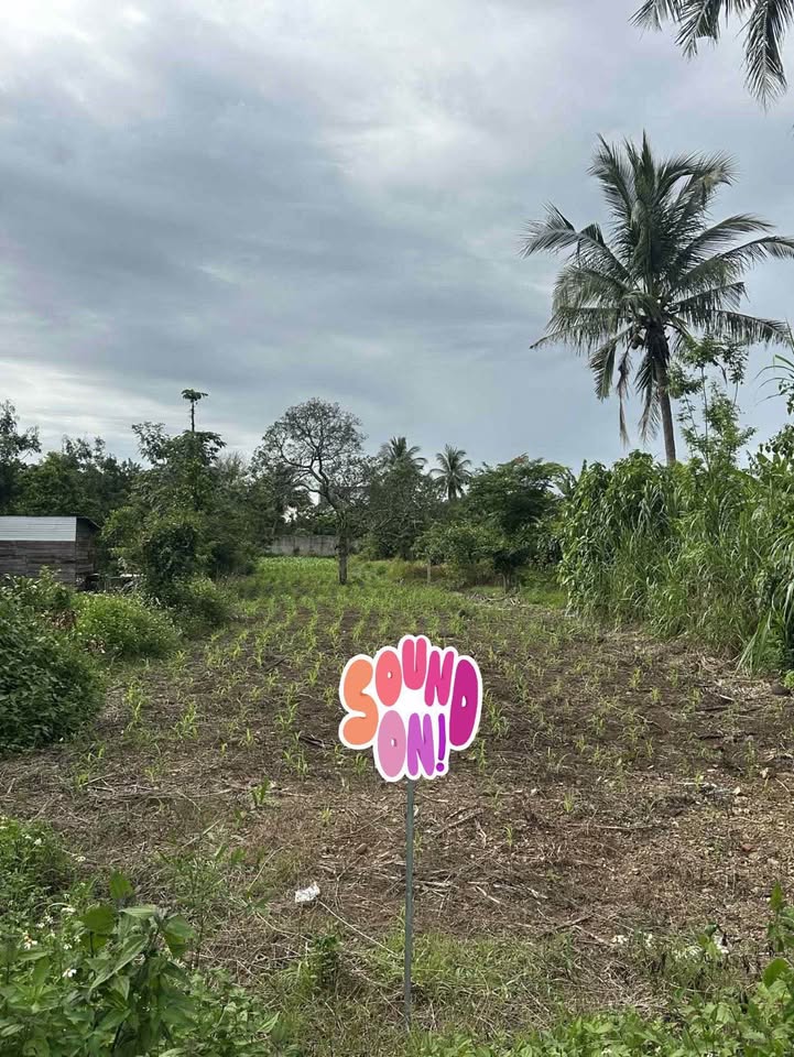 Đất nền Hòa Phú Buôn Ma Thuột 728m² giá 1.45 tỷ - Cần bán gấp!