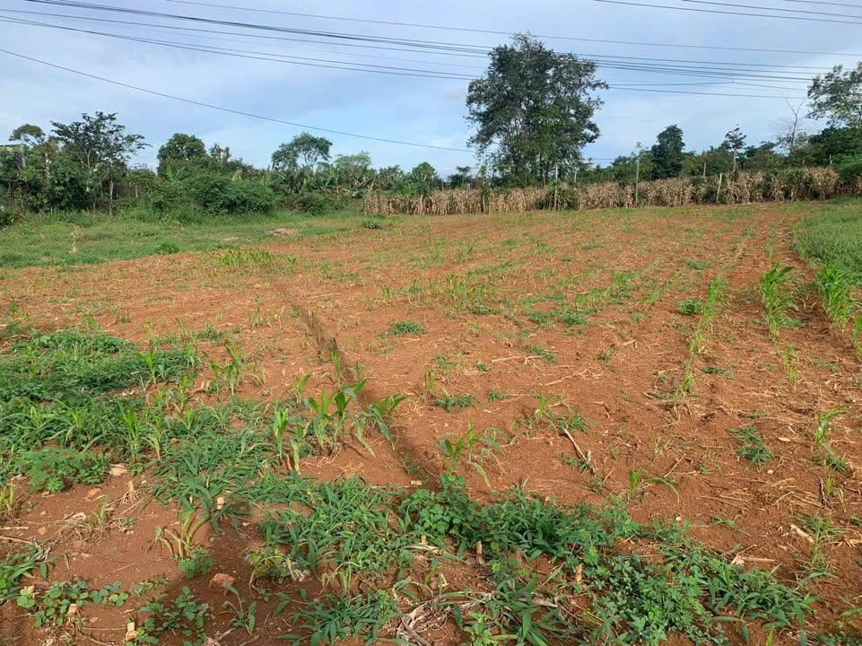 Đất nền Hòa Xuân Buôn Ma Thuột 2000m² - Mặt tiền đẹp, giá thỏa thuận!