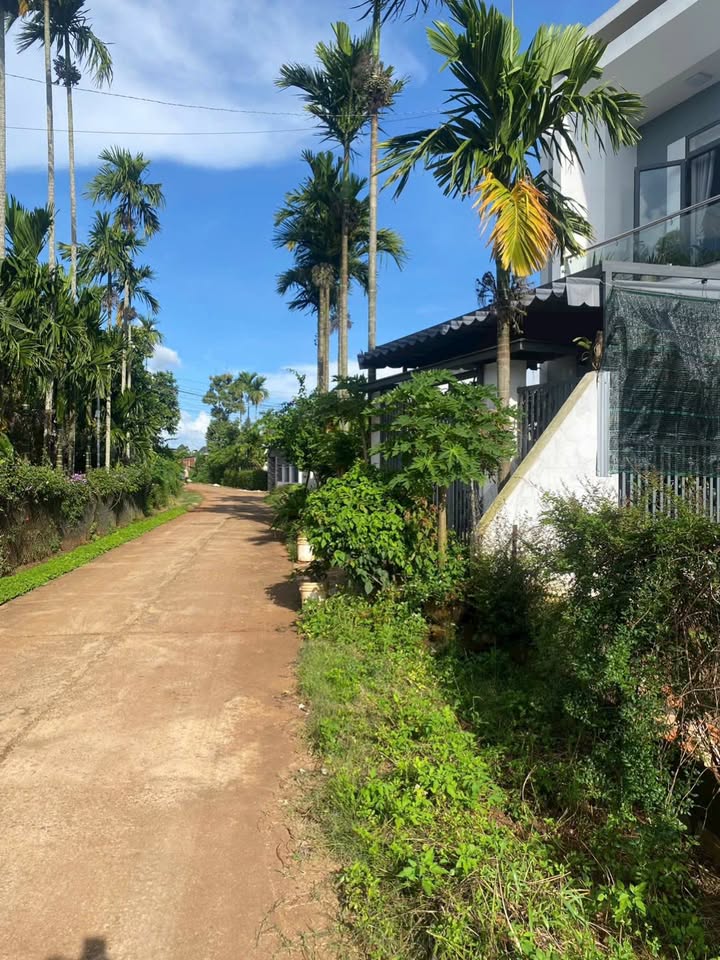 Bán đất Hòa Thắng, Buôn Ma Thuột 76m² giá 1.35 tỷ - Đường ô tô vào tận nơi!