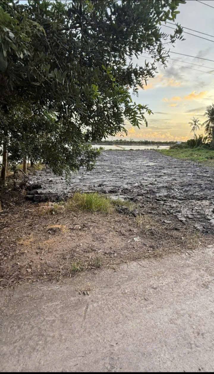 Đất vườn 1216m² Minh Tân, Châu Thành giá 600 triệu - Cơ hội đầu tư tuyệt vời!