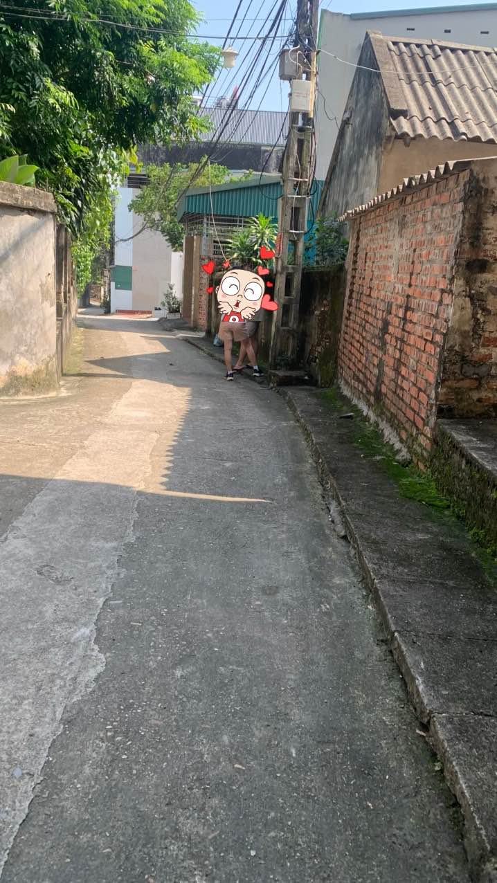 Đất nền Thanh Miếu, Việt Trì 80m² giá 2 tỷ - Đầu tư sinh lời ngay!