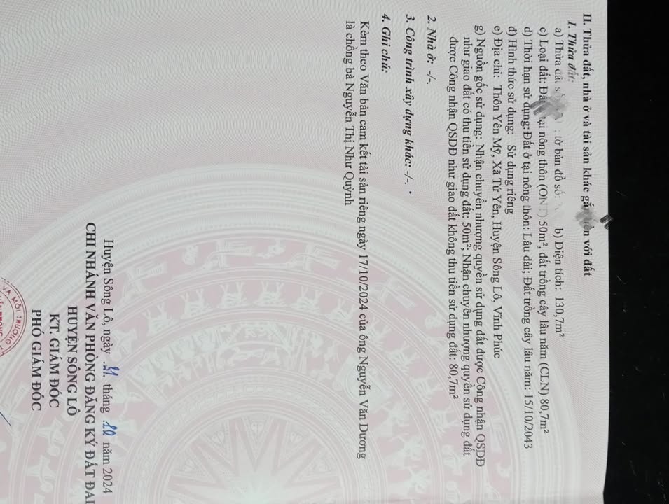 Đất thổ cư xã Tứ Yên, Sông Lô, Vĩnh Phúc 130,7m² giá 1 tỷ - Sổ hồng chính chủ!