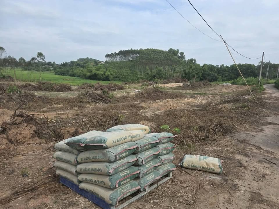 Đất nền Phồn Xương Yên Thế 7000m² giá chỉ 2 tỷ - Đầu tư sinh lời ngay!