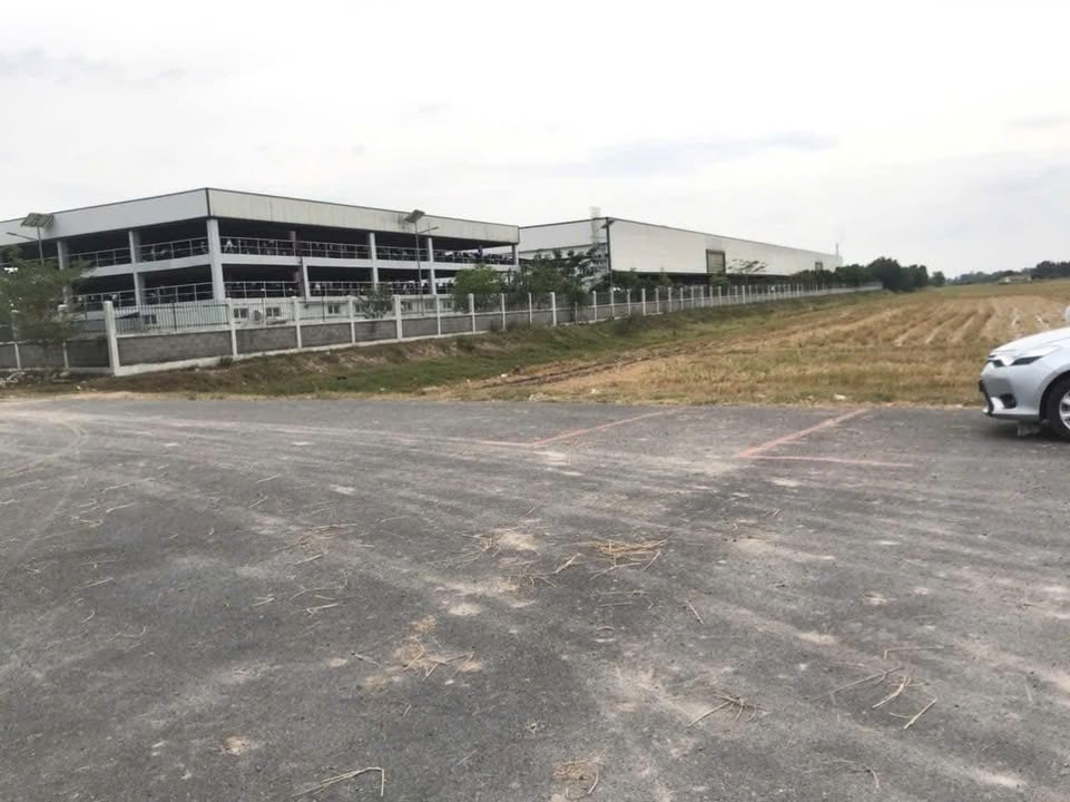 Đất nền Kiến Tường 14.000m² - Thích hợp mở xưởng sản xuất!