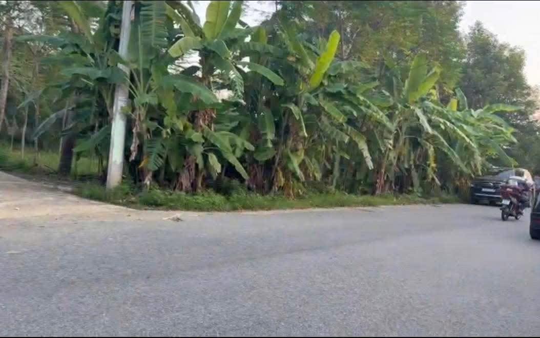 Đất Vân Phú Việt Trì 75m² giá 2 tỷ - Mặt tiền rộng, kinh doanh thuận lợi!