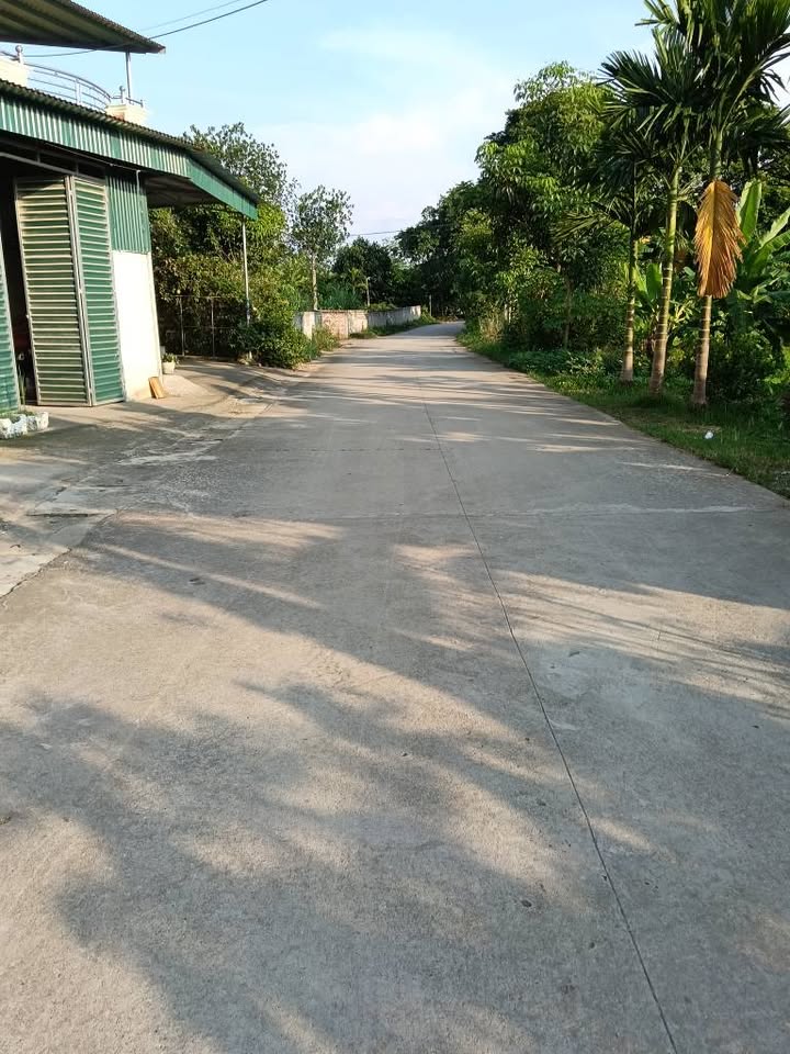 Đất thổ cư Đoan Hùng 100m² giá 2 tỷ - Gần bệnh viện Hùng Vương