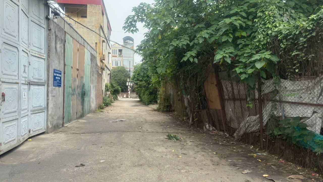 Đất nền chính chủ Phường Lĩnh Nam 60m² giá 3.3 tỷ - Cơ hội đầu tư hấp dẫn!