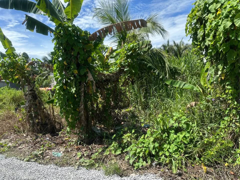 Đất nền Phường 3 Vĩnh Long 210m² giá 1.95 tỷ - Hướng Đông Bắc, xe hơi vào tận nơi!