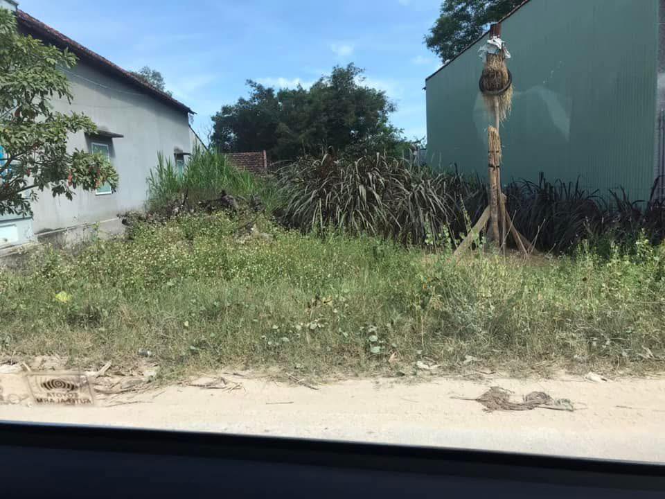 Đất nền Bình Tân, Tây Sơn 100m² giá 400 triệu - Mặt tiền đường lớn, thuận tiện kinh doanh!