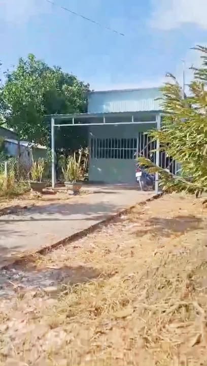 Đất Farm 11.000m² Sầu Riêng tại Đốc Bình Kiều - Giá 3.52 tỷ, Đầu tư Sinh Lời