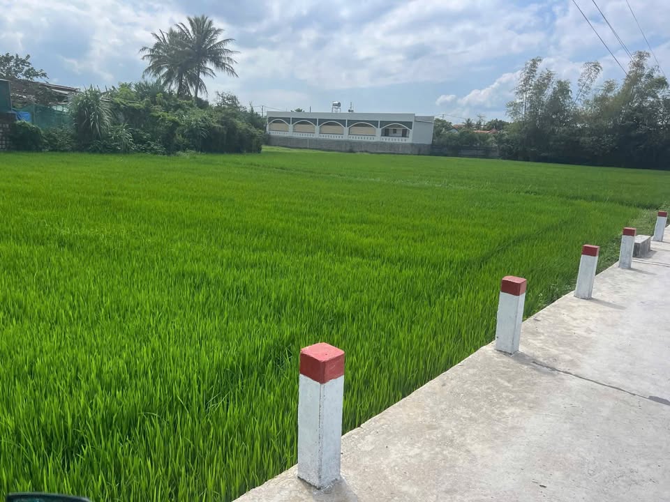 Đất nền Ninh Hiệp, Ninh Hòa 145m² giá thỏa thuận - Đầu tư sinh lời ngay!