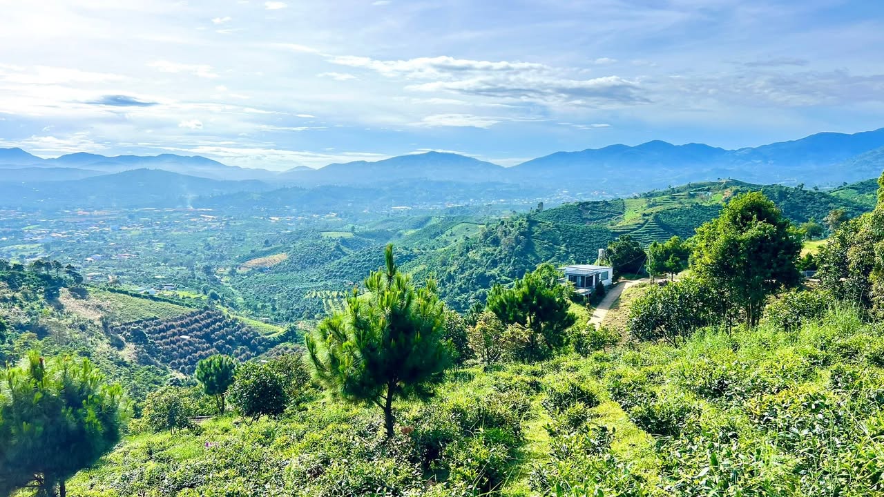 Đất nền Lộc Thành, Bảo Lâm 1.000m² giá 1 tỷ - View săn mây tuyệt đẹp!