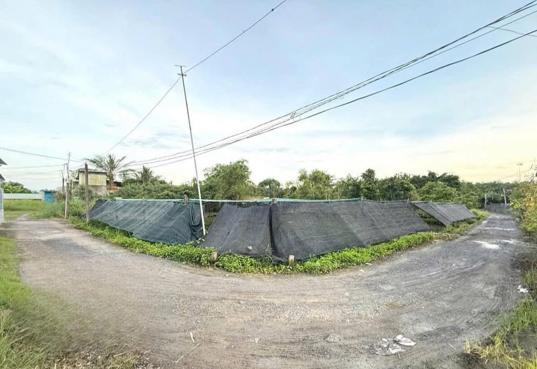 Đất nền Mỹ Lộc, Cần Giuộc 570m² giá 1.3 tỷ - Đầu tư sinh lời ngay!