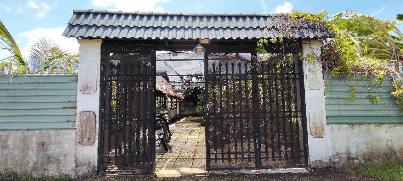 Nhà vườn 500m² Bình Mỹ, Củ Chi - Sổ hồng riêng, chỉ 3.1 tỷ!