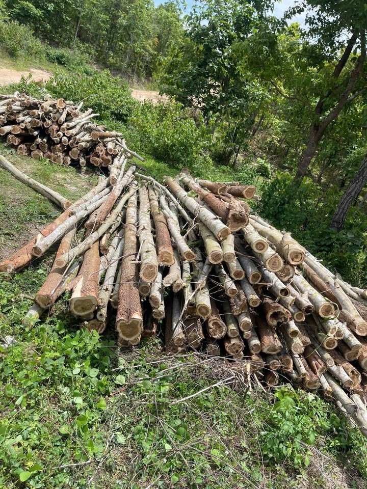 Đất đồi 7ha xã Ea Păl, Ea Kar, Đắk Lắk giá 2 tỷ - Cơ hội đầu tư hấp dẫn!