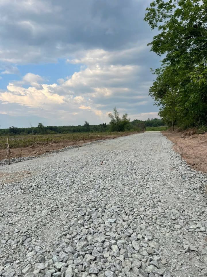 Đất nền 1000m² tại Xã Xuân Thành, Đồng Nai chỉ từ 300 triệu - Đầu tư sinh lời ngay!