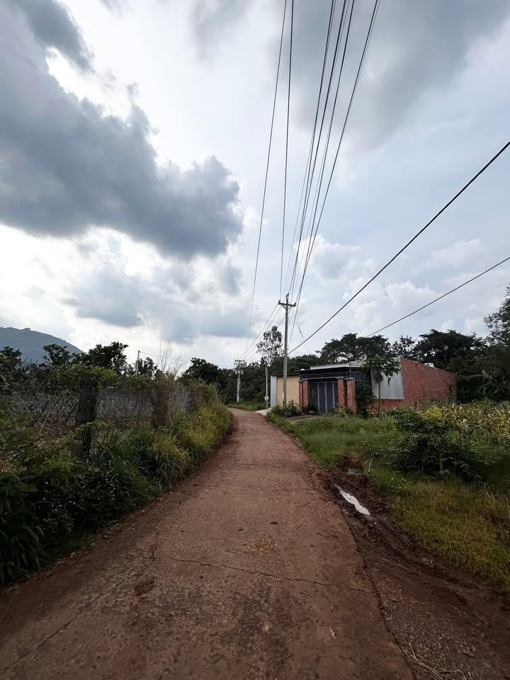 Đất nền thổ cư 360m² đường Bàu Giá Ló, Xuân Lộc - Giá chỉ 699 triệu