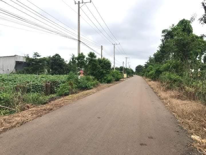 Đất thổ cư 3600m² tại Lang Minh, Xuân Lộc chỉ 1.3 tỷ - Đầu tư sinh lời ngay!