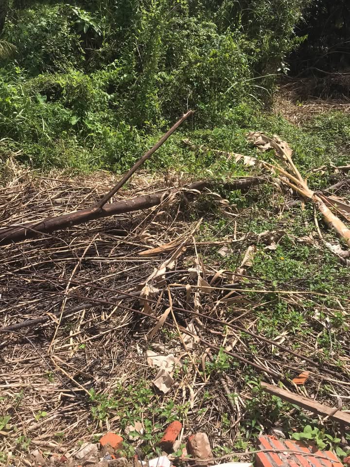 Đất nền hẻm nhánh đường Nguyễn Thông, Bình Thủy, 69m² giá chỉ 500 triệu - Hàng hiếm không thể bỏ qua!