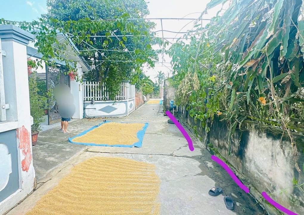 Đất nền Điệp Nông Hưng Hà 100m² giá chỉ 500 triệu - Cơ hội đầu tư hấp dẫn!