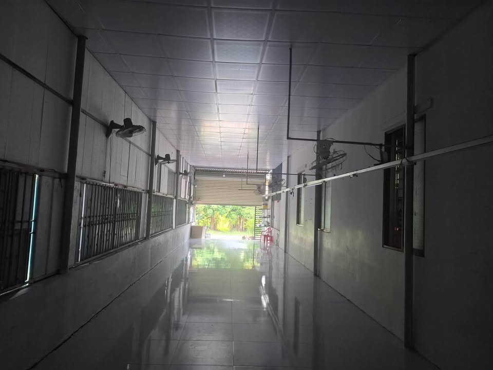 Nhà kho cho thuê tại Phường 3, Đông Hà, Quảng Trị - Diện tích rộng rãi, giá 2.5 triệu/tháng!