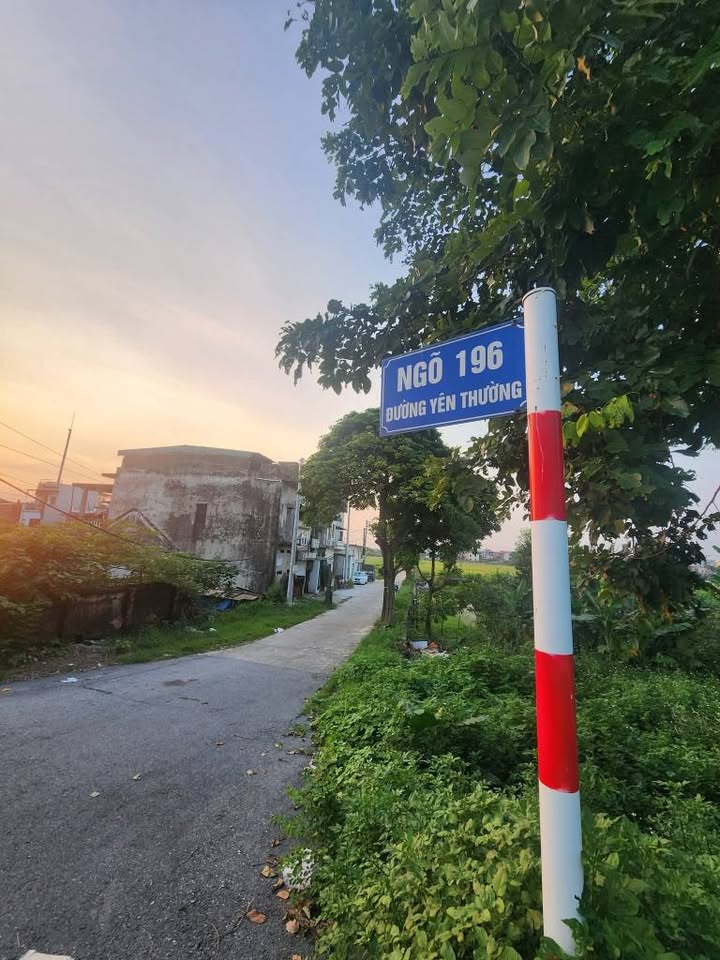 Nhà cấp 4 đường Yên Thường, Gia Lâm 60m² giá 3 tỷ - Cơ hội hiếm có!