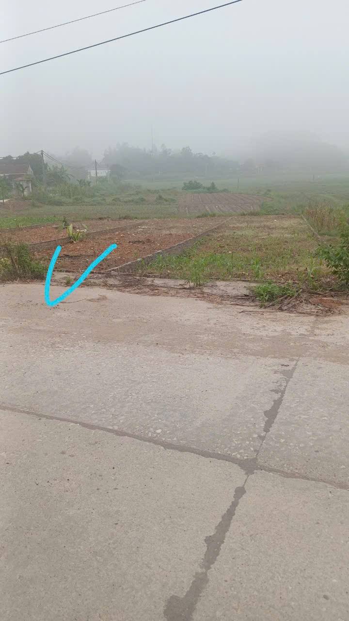 Lô đất đẹp Xuân Hòa, Lập Thạch 125m² giá 1 tỷ - Tiềm năng đầu tư lớn!