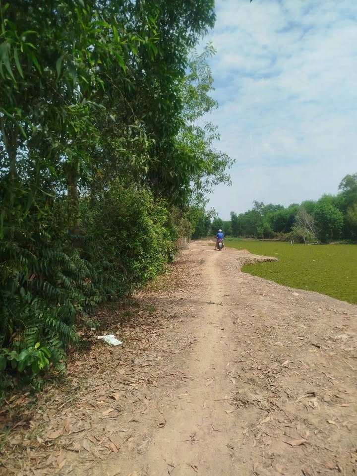 Đất nền Củ Chi 4240m² giá 6.36 tỷ - Mặt tiền đường Bờ Kênh, view thoáng mát!