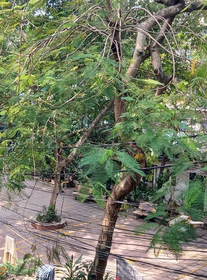 Căn hộ duplex Tập thể Kim Liên, Đống Đa 120m² giá 4 tỷ - Siêu thoáng sáng, vị trí đẹp!