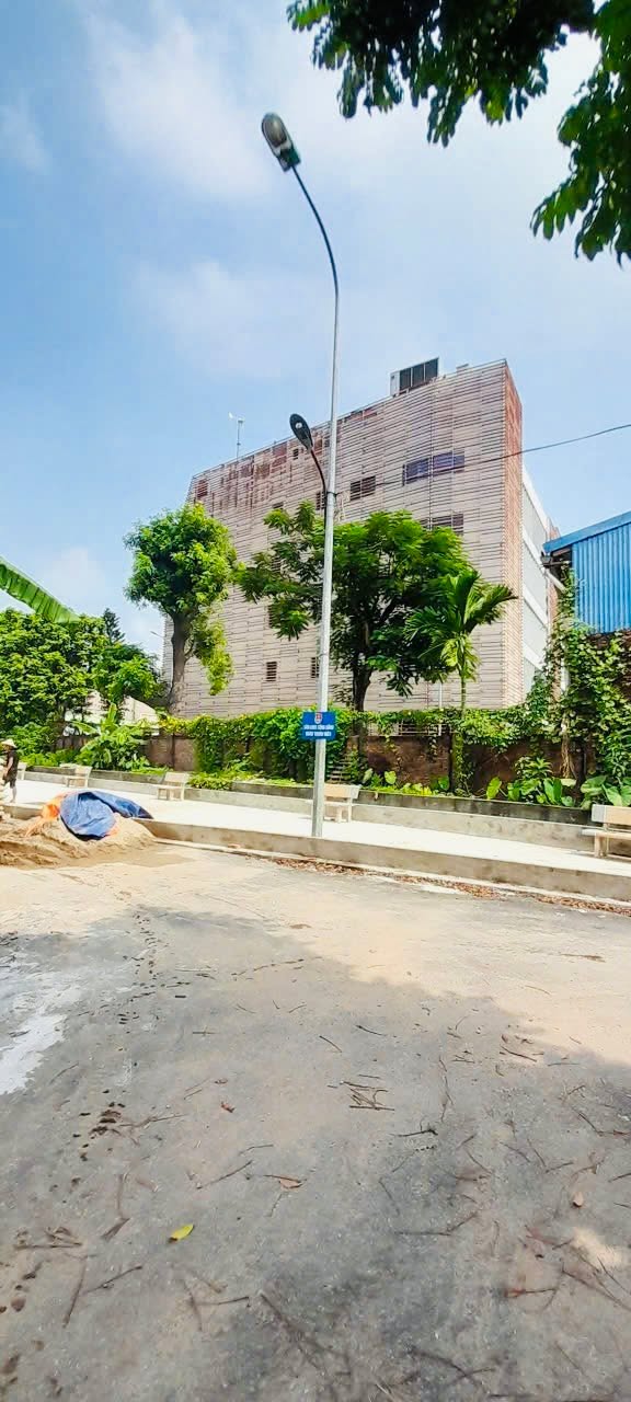 Đất đấu giá Mai Lâm 80m² giá chỉ 12 triệu/m² - Tiềm năng sinh lời cao!