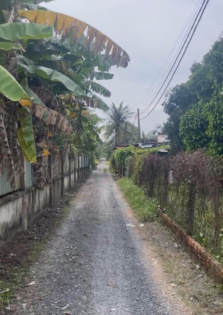 Lô đất Củ Chi 294m² giá 3.6 tỷ - Gần Ủy ban xã Bình Mỹ!