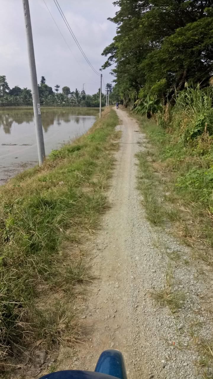 Đất nền Vĩnh Lợi, Châu Thành, An Giang 4600m² giá 713 triệu - Cơ hội đầu tư tiềm năng!