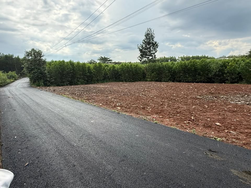 Đất nền An Viễn Trảng Bom 140m² giá chỉ 800 triệu - Sổ đỏ chính chủ!