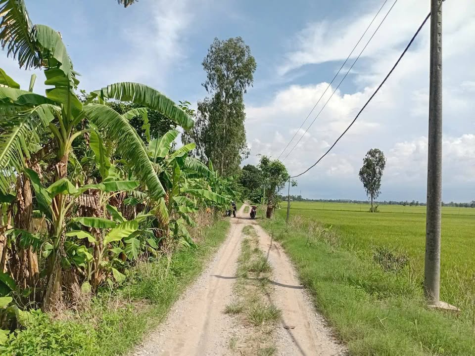 Đất nền 2527m² xã An Châu - Giá chỉ 620 triệu, thuận tiện xây dựng nhà vườn!