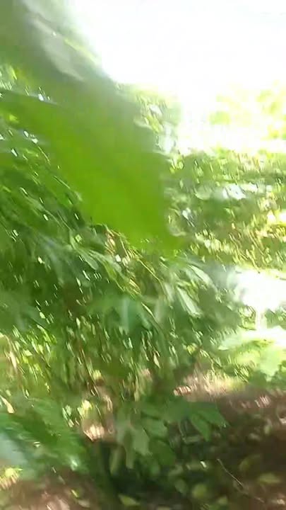 Đất thổ cư xã Tân Lạc 40000m² giá 2 tỷ - Đầu tư sinh lời ngay!