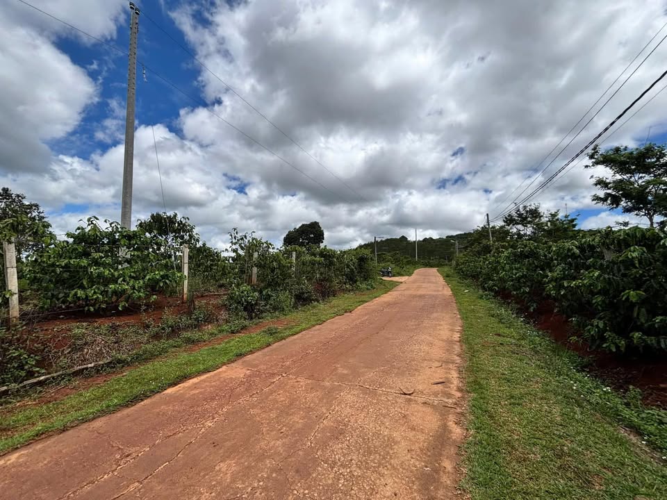 Đất nền tại Mê Linh, Lâm Hà 5700m² giá 5.7 tỷ - Bán gấp, giá rẻ bất ngờ!