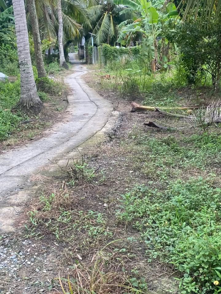 Đất vườn Thới Hòa Trà Ôn 3000m² giá 660 triệu - Đầu tư sinh lời dài hạn!