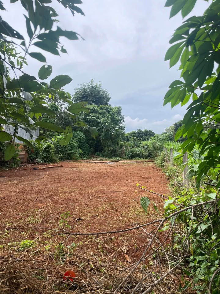 Lô đất Cư Suê 150m² giá chỉ 395 triệu - Đầu tư sinh lời ngay!