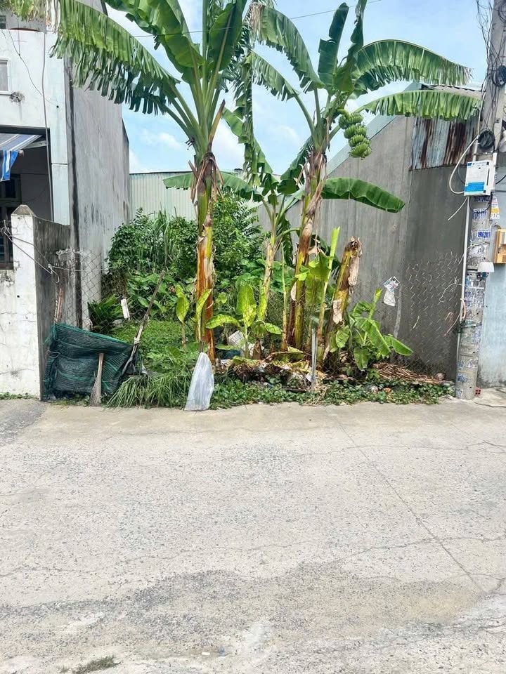 Đất nền An Phú Đông 91,2m² giá chỉ 4,58 tỷ - Pháp lý rõ ràng, hẻm xe hơi rộng rãi!