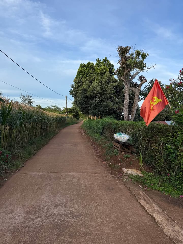 Đất thổ cư 1000m² Thị trấn Đắk Mil 7000m² - Đầu tư sinh lời hấp dẫn!