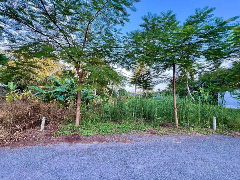 Đất thổ cư 354m² tại Ấp Cây Hẹ, Trà Vinh giá 630 triệu - Đầu tư sinh lời ngay!